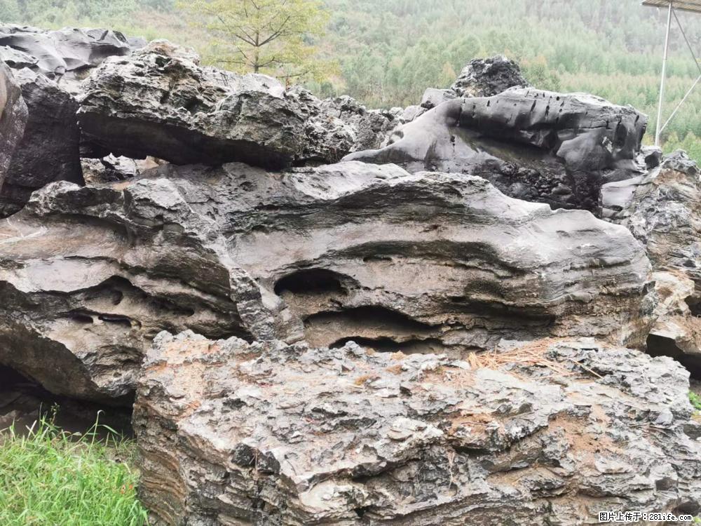 风景石、假山石大量有货，有需要的欢迎联系 - 新手上路 - 茂名生活社区 - 茂名28生活网 mm.28life.com