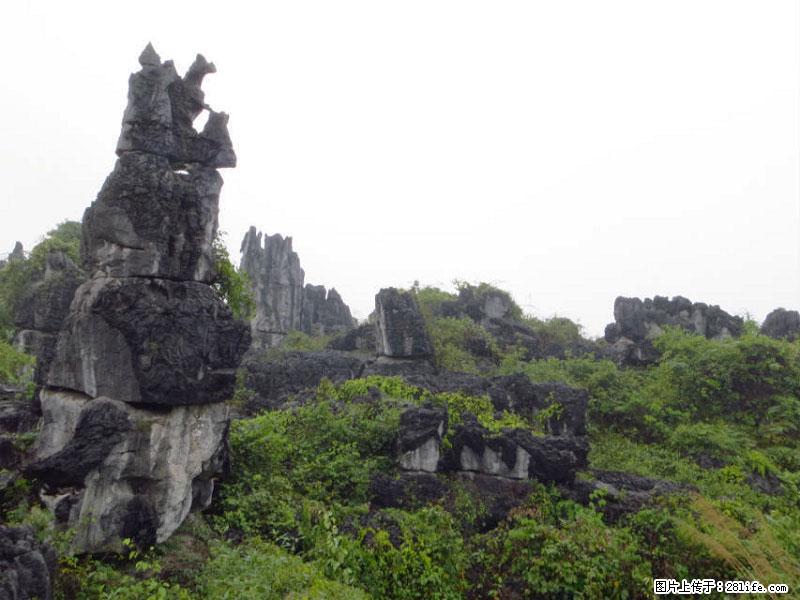 桂林旅游名城景点:灌阳文市石林 - 游山玩水 - 茂名生活社区 - 茂名28生活网 mm.28life.com