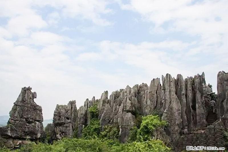 桂林旅游名城景点:灌阳文市石林 - 游山玩水 - 茂名生活社区 - 茂名28生活网 mm.28life.com