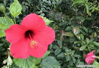 出租光华北物资局宿舍，3房1厅，重新装修未入住 - 茂名28生活网 mm.28life.com