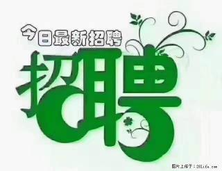 【招聘摄像师】待遇：试用期6000元/月，转正7000元/月+五险一金+餐补+节日福利+奖金 - 茂名28生活网 mm.28life.com