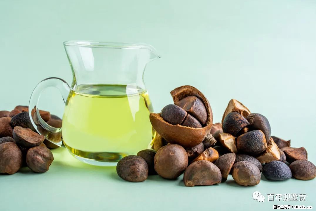 世界没有真相，只有认知，最好的食用油是中国的山茶油！ - 茂名生活资讯 - 茂名28生活网 mm.28life.com
