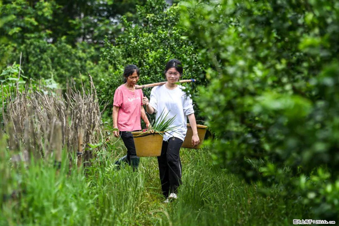 全网追的“扁担女孩”,找了一份暑假工,时薪12元 - 茂名生活资讯 - 茂名28生活网 mm.28life.com