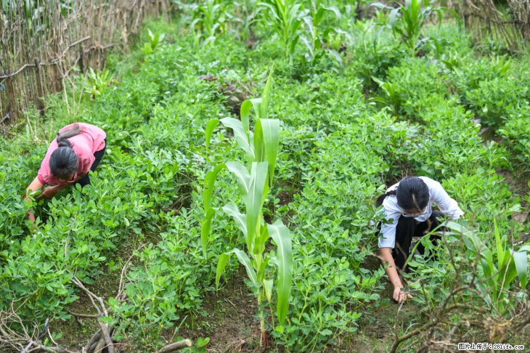 全网追的“扁担女孩”,找了一份暑假工,时薪12元 - 茂名生活资讯 - 茂名28生活网 mm.28life.com