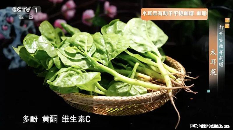 比牛奶补钙还厉害!凉血解毒、稳血糖...这菜冬天必吃,很多人却当草 - 茂名生活资讯 - 茂名28生活网 mm.28life.com