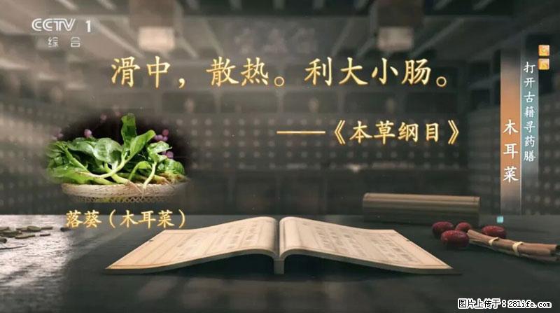 比牛奶补钙还厉害!凉血解毒、稳血糖...这菜冬天必吃,很多人却当草 - 茂名生活资讯 - 茂名28生活网 mm.28life.com