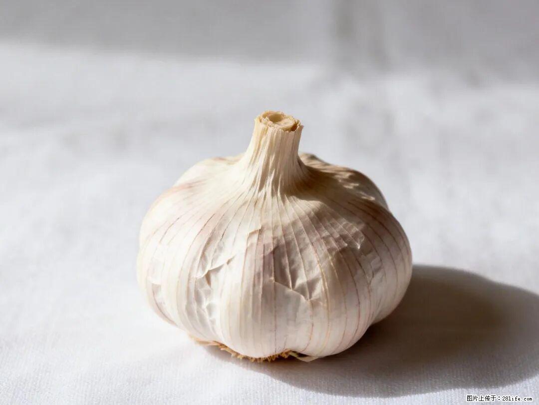 关于大蒜，除了“天然抗生素”，这4个谣言更该警惕! - 茂名生活资讯 - 茂名28生活网 mm.28life.com