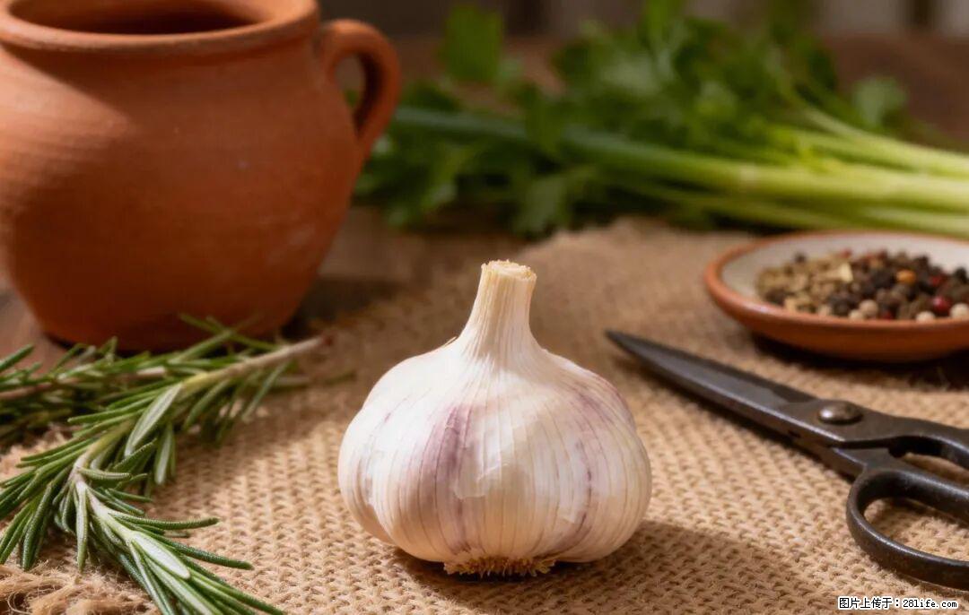 关于大蒜，除了“天然抗生素”，这4个谣言更该警惕! - 茂名生活资讯 - 茂名28生活网 mm.28life.com