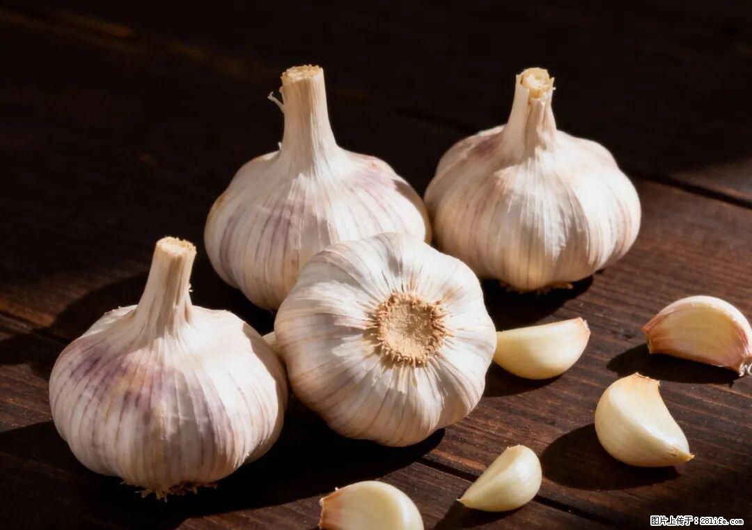 关于大蒜，除了“天然抗生素”，这4个谣言更该警惕! - 茂名生活资讯 - 茂名28生活网 mm.28life.com