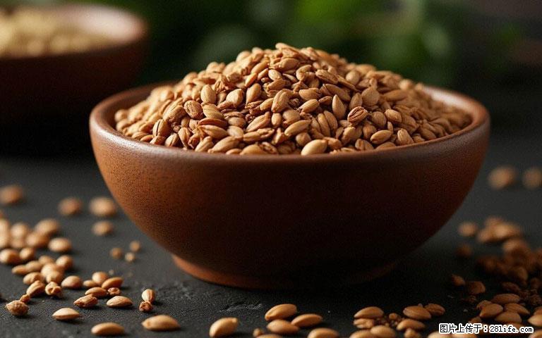 这三苦是三高“克星”，心血管干净不易堵！每天吃一点，指标慢慢降下来~ - 茂名生活资讯 - 茂名28生活网 mm.28life.com