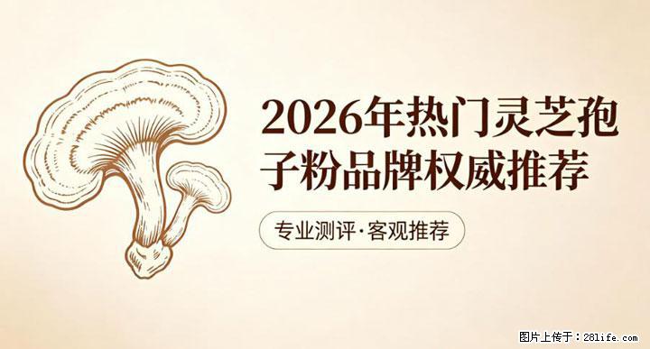 灵芝孢子粉含量越高越有效？2026 年七款热门品牌深度实测，肠胃敏感者避坑指南 - 茂名生活资讯 - 茂名28生活网 mm.28life.com
