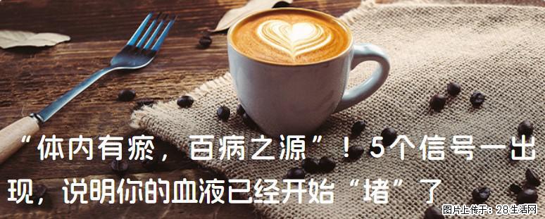 “体内有瘀，百病之源”！5个信号一出现，说明你的血液已经开始“堵”了 - 茂名生活资讯 - 茂名28生活网 mm.28life.com